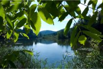 Ist das nicht eine tolle Sicht auf den Mitterteich in Moosburg? • © Moosburg Tourismusbüro