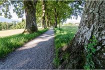 Die Kottmüllerallee auf dem Drachenstich-Rundweg in Murnau am Staffelsee. • © Tourist Information Murnau am Staffelsee, Simon Bauer