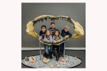 Große Kinderaugen erlebst Du in der Kristall- und Fossilien Erlebniswelt in Pörtschach. • © Erlebniswelt Kranzelbiner