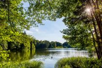 Der Trattnigteich in Schiefling. • © Franz Gerdl
