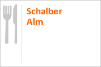 Den Alpine Coaster Schneisenfeger kannst Du auch im Winter nutzen. • © Seilbahn Komperdell GmbH, Andreas Kirschner
