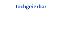 Jochgeierbar