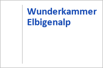 Wunderkammer Elbigenalp