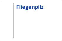 Fliegenpilz