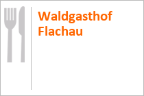Blick auf Flachau aus dem Sessellift Star-Jet 1.  • © Flachau Tourismus, Christian Fischbacher