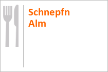 Schnepfn Alm