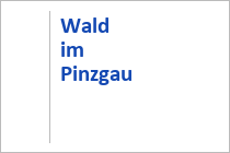 Wald im Pinzgau