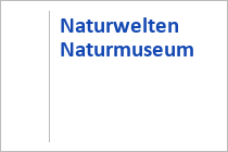 In der Mitte des Bilder, rechts neben d den Radfahrern, befindet sich der Sky Waterwalk. • © skiwelt.de - Christian Schön