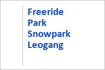 Freeride Park Snowpark Leogang