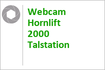 Webcam Hornlift 2000 Talstation