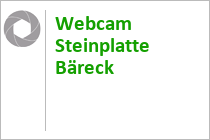 Webcam Steinplatte Bäreck