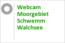 Webcam Moorgebiet Schwemm Walchsee