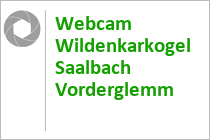 Webcam Wildenkarkogel Saalbach Vorderglemm