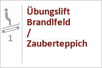 Übungslift Brandlfeld / Zauberteppich Astberg