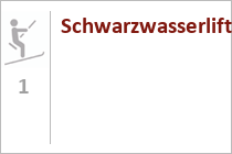 Links im Bild: Die Doppelstock-Pendelbahn (L2) • © skiwelt.de / christian schön