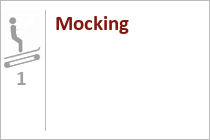 Mocking