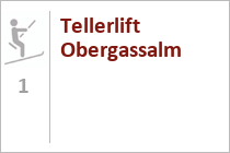 Tellerlift Obergassalm