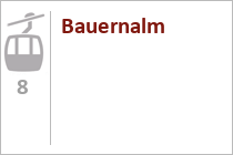 Bauernalm