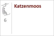 Katzenmoos
