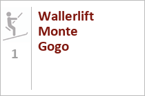 Wallerlift Monte Gogo