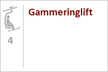Gammeringlift