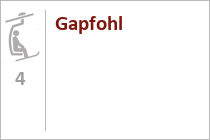 Gapfohl
