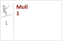 Muli 1