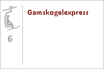 Gamskogelexpress