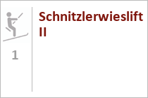 Schnitzlerwieslift II