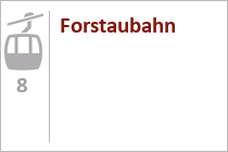 Forstaubahn