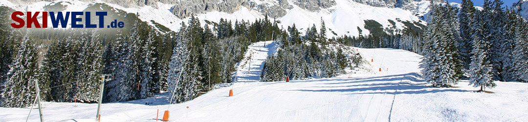 Skiwelt.de