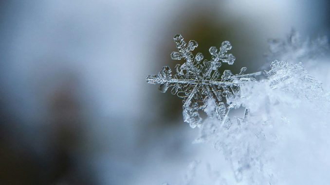 Wundervoller Schnee, das Herz eines jeden Skifans schlägt dabei höher. // Foto: unsplash